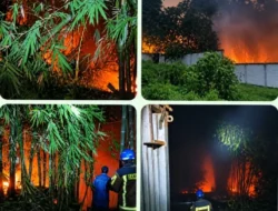 Kebun Bambu dan Aren Seluas 2 Hektare Terbakar di Leles, Damkarmat Garut Berhasil Kendalikan Api : Mitra Sindikasi