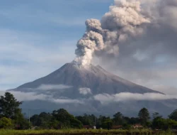 Semeru Erupsi 7 Kali, Kolom Abu Capai 1 Kilometer Hari Ini : Mitra Sindikasi