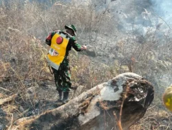 Gerak Cepat Babinsa dan Warga Padamkan Kebakaran Lahan di Pattapang Gowa : Mitra Sindikasi