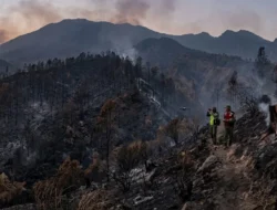 Jalur Senaru Gunung Rinjani Dibuka Lagi Mulai 3 Oktober : Mitra Sindikasi